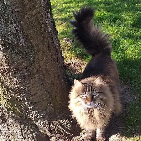 Le Refuge Du Hibou 3* Beaurains