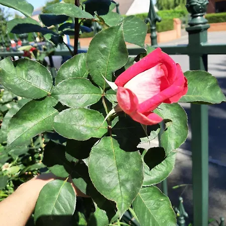 Le Refuge Du Hibou Bed & Breakfast 3*